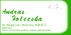 andras holecska business card